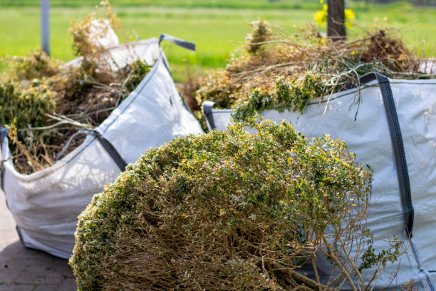 Best Professional Junk Removal  in El Sobrante, CA